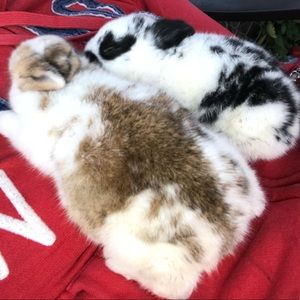 Meet your Posher, Dania